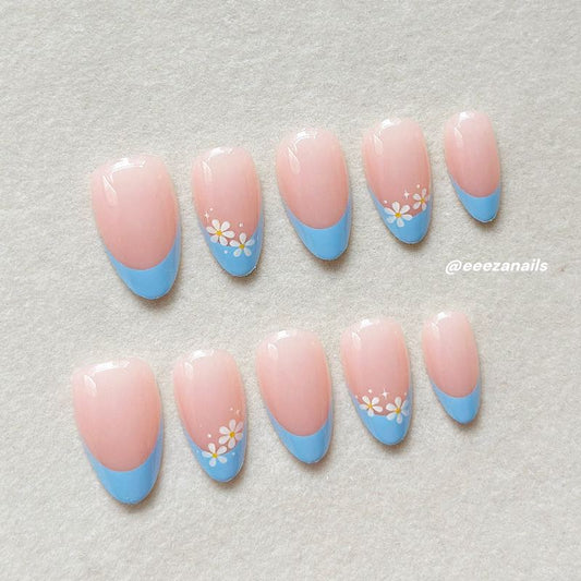 Daisy Blue 24p