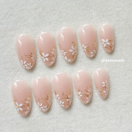 Daisy Glow 24p