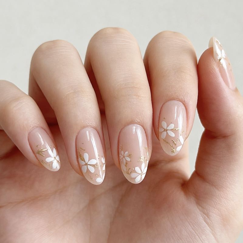 Daisy Glow 24p