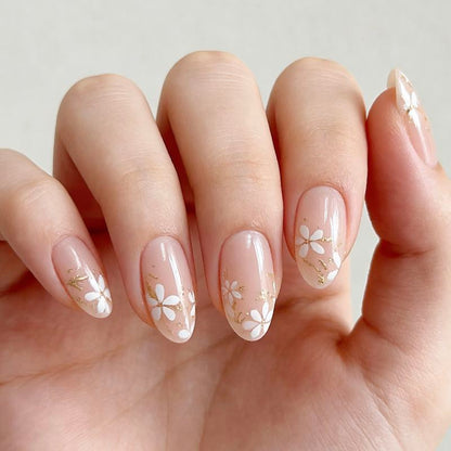 Daisy Glow 24p