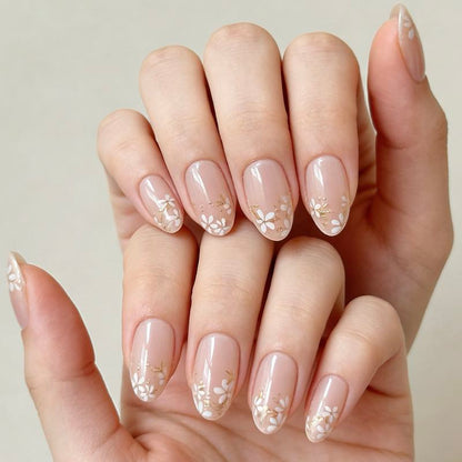 Daisy Glow 24p