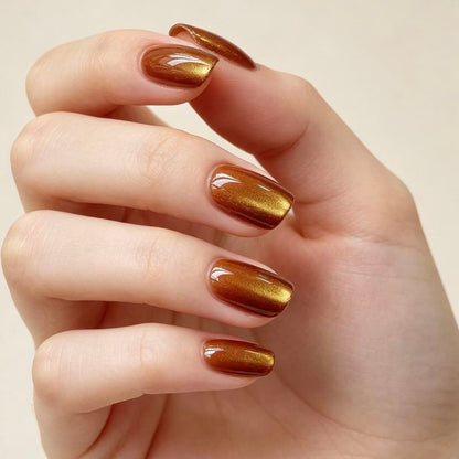 Amber Glow 24p