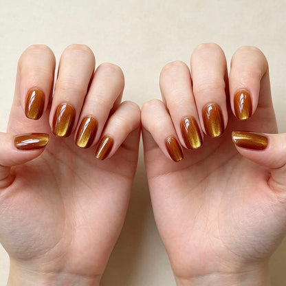 Amber Glow 24p