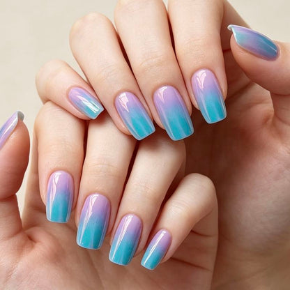 Violet Aurora 24p