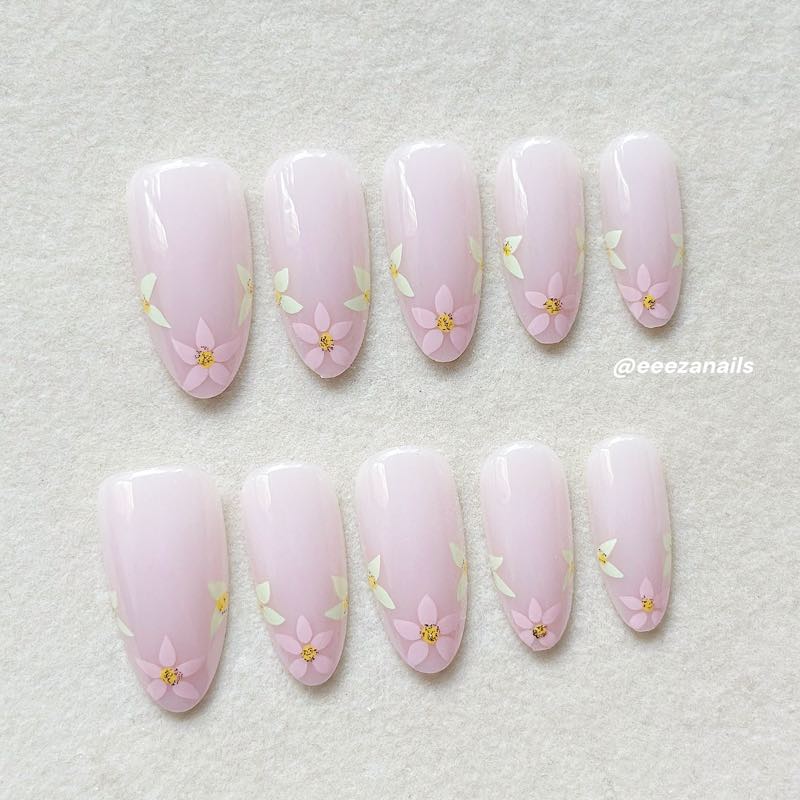 Petal Bloom 24p