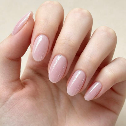 Short Oval Glazed 24p