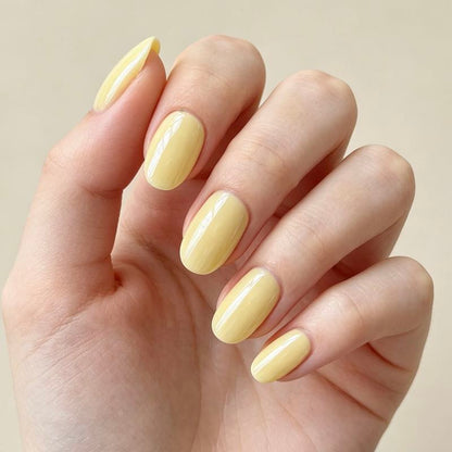 Short Oval Glazed 24p