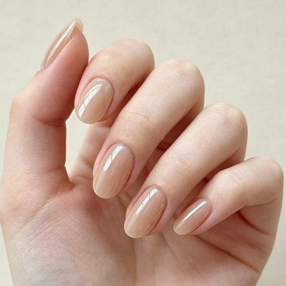 Short Oval Glazed 24p