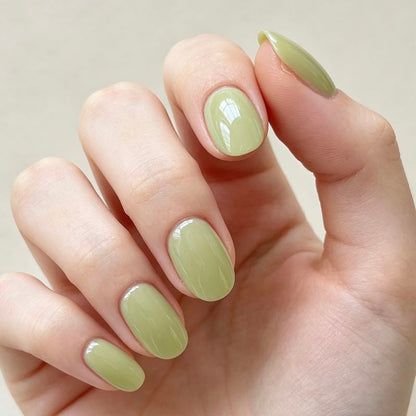 Short Oval Glazed 24p