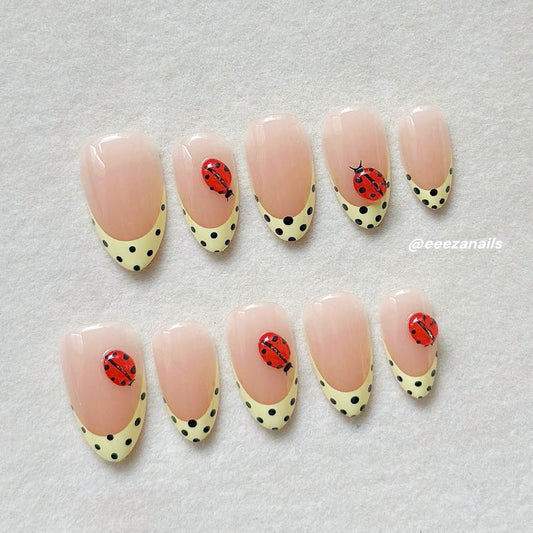 Dot Charm 24p
