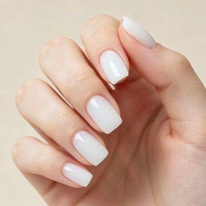 Soft Hue 24p