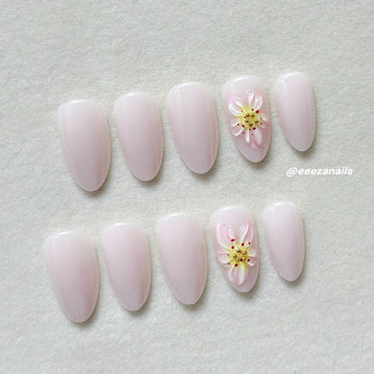 Petal Dream 24p