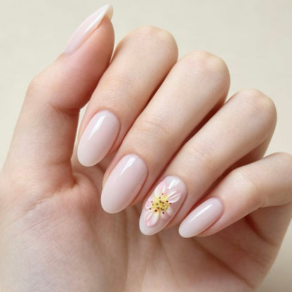 Petal Dream 24p