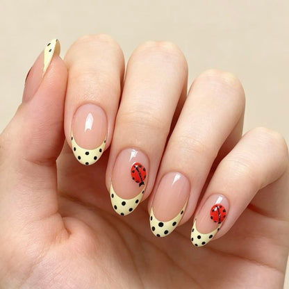 Dot Charm 24p
