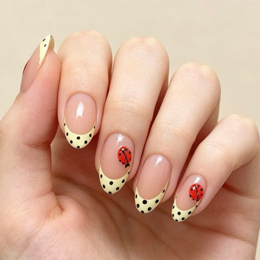 Dot Charm 24p