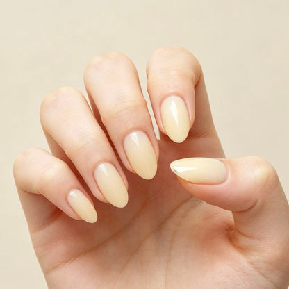 Solid color 24p