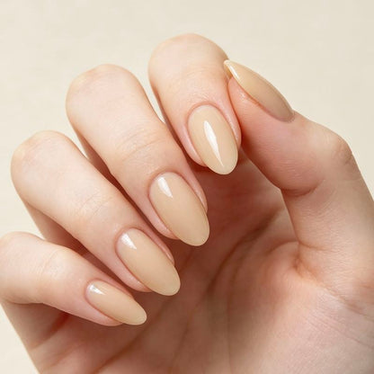 Solid color 24p