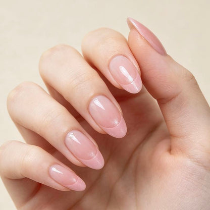 Blush French 24p