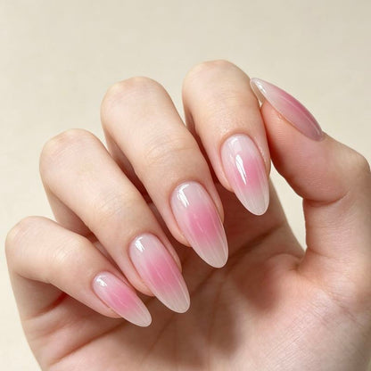 Pink Blush 24p