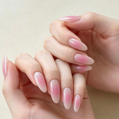 Pink Blush 24p