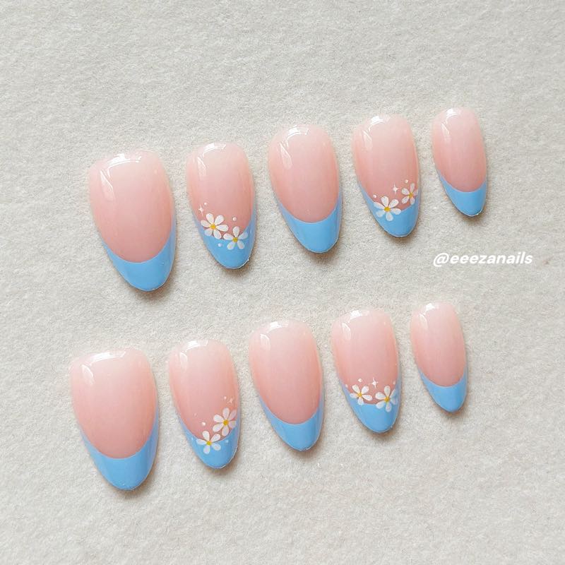 Daisy Blue 24p