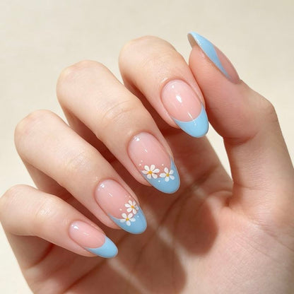 Daisy Blue 24p