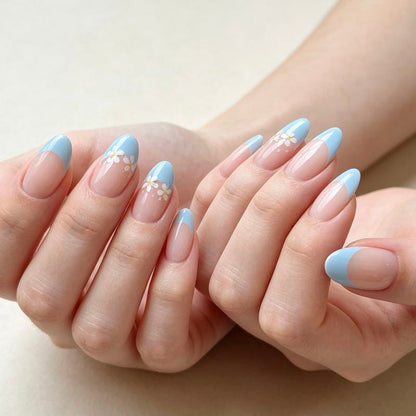 Daisy Blue 24p