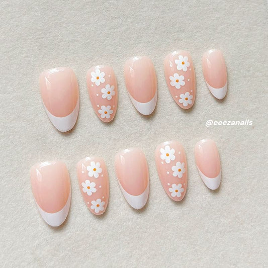 Pale Daisies 24p