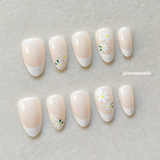 Creamy Daisies 24p