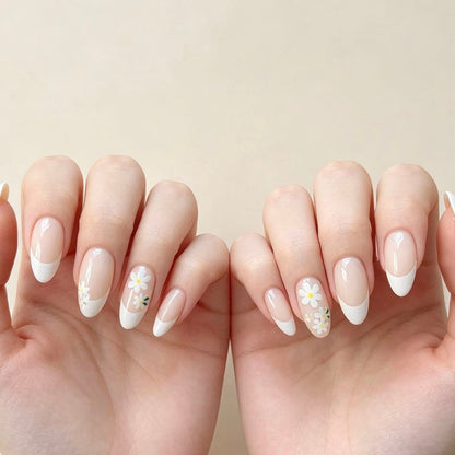 Creamy Daisies 24p