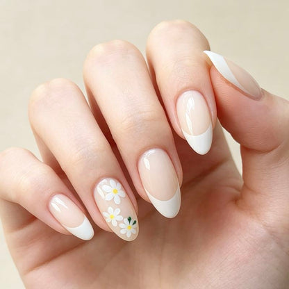 Creamy Daisies 24p