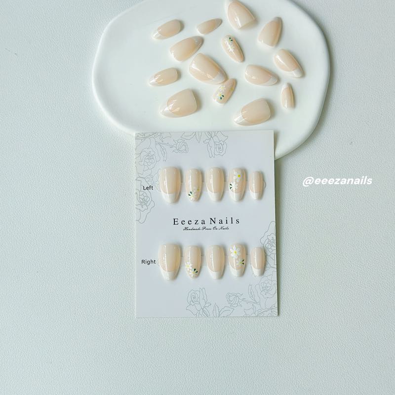 Creamy Daisies 24p