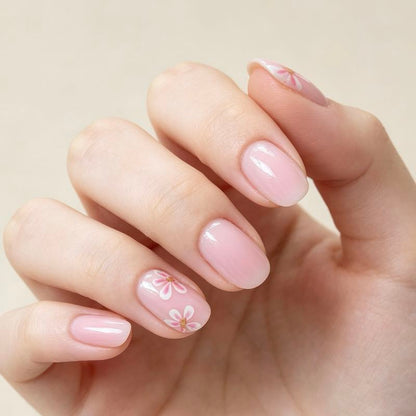 Petal Hush 24p