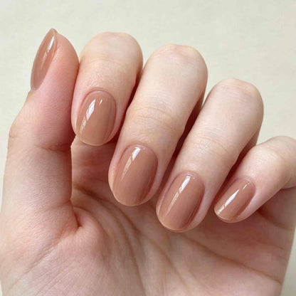 Pastel Halo 24p