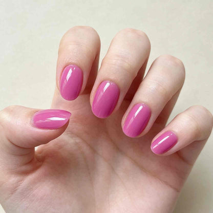 Pastel Halo 24p
