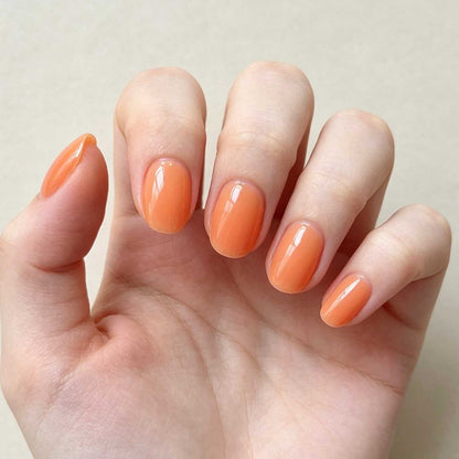 Pastel Halo 24p