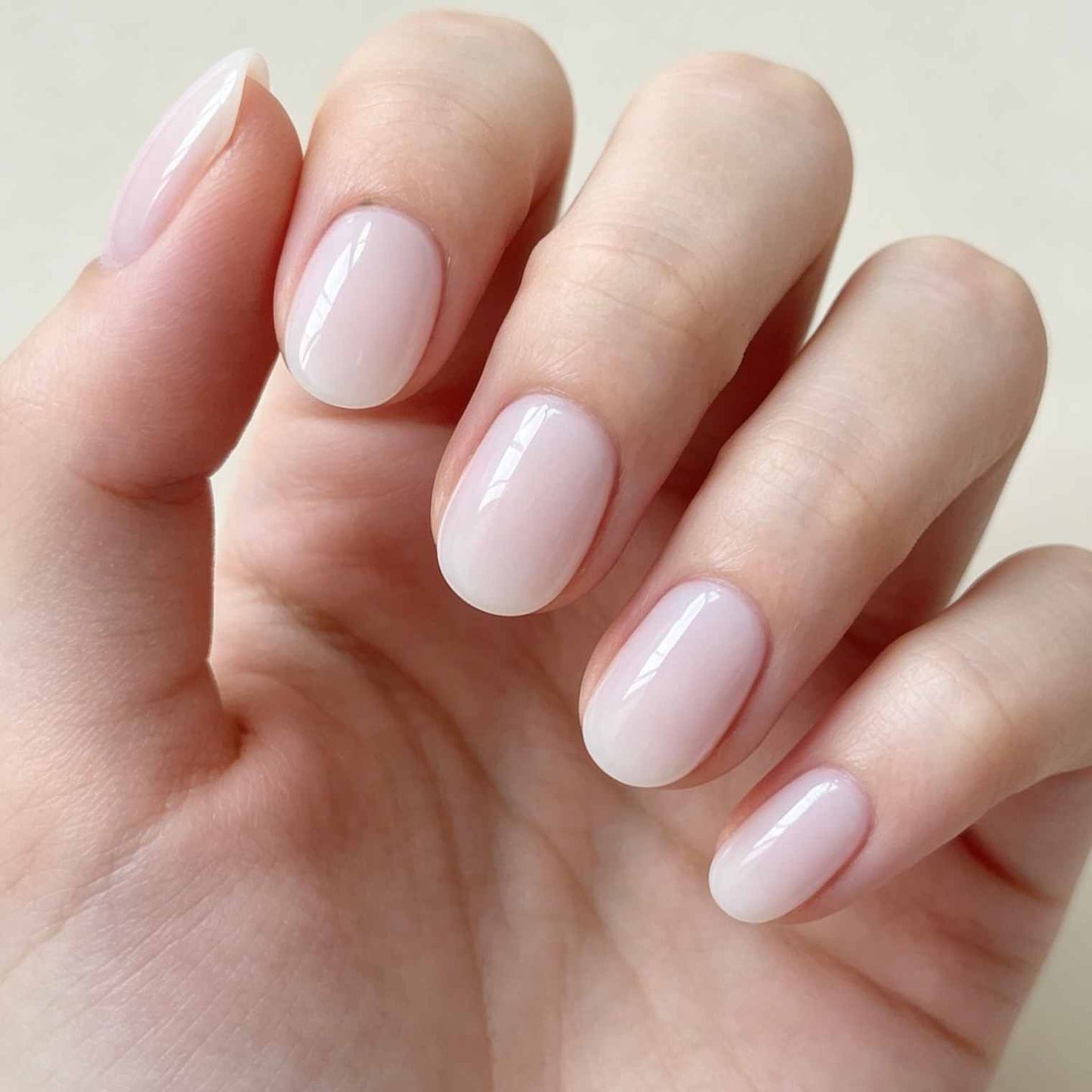 Pastel Halo 24p