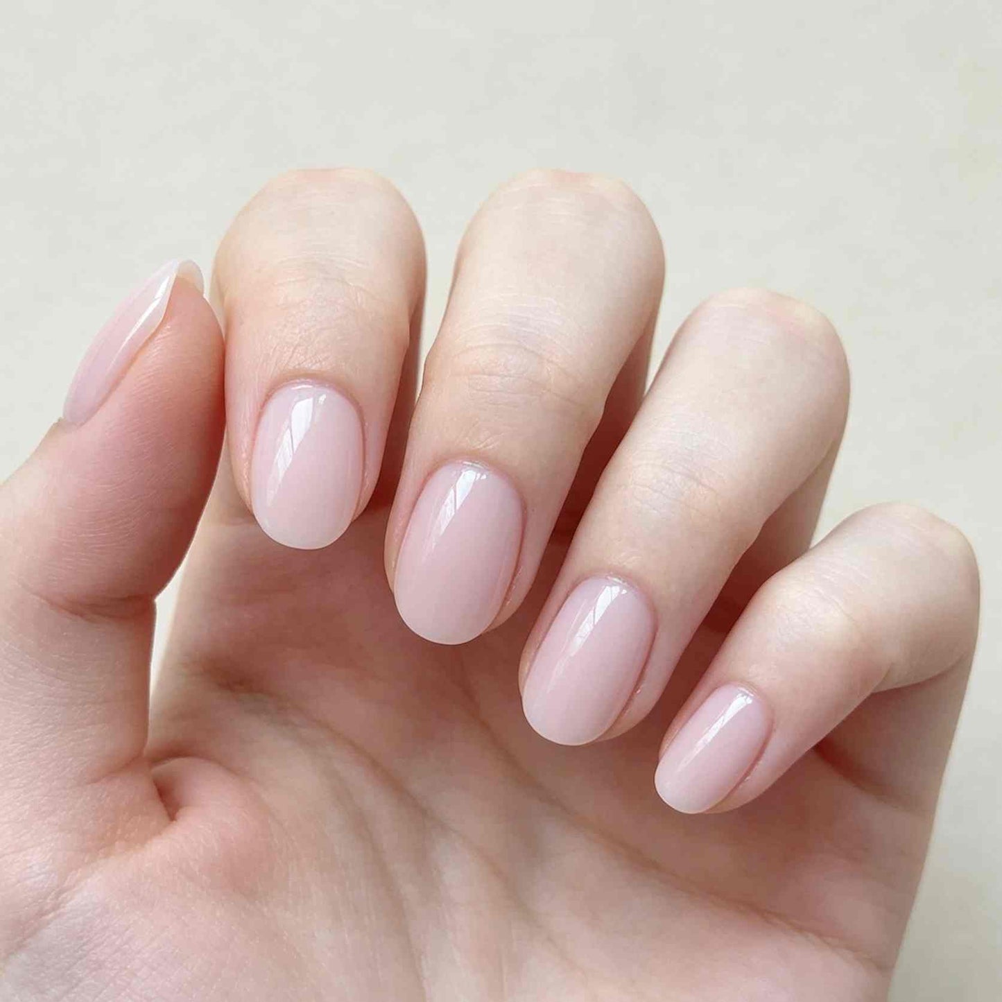 Pastel Halo 24p