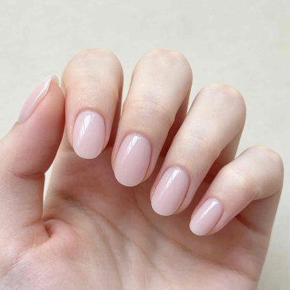 Pastel Halo 24p