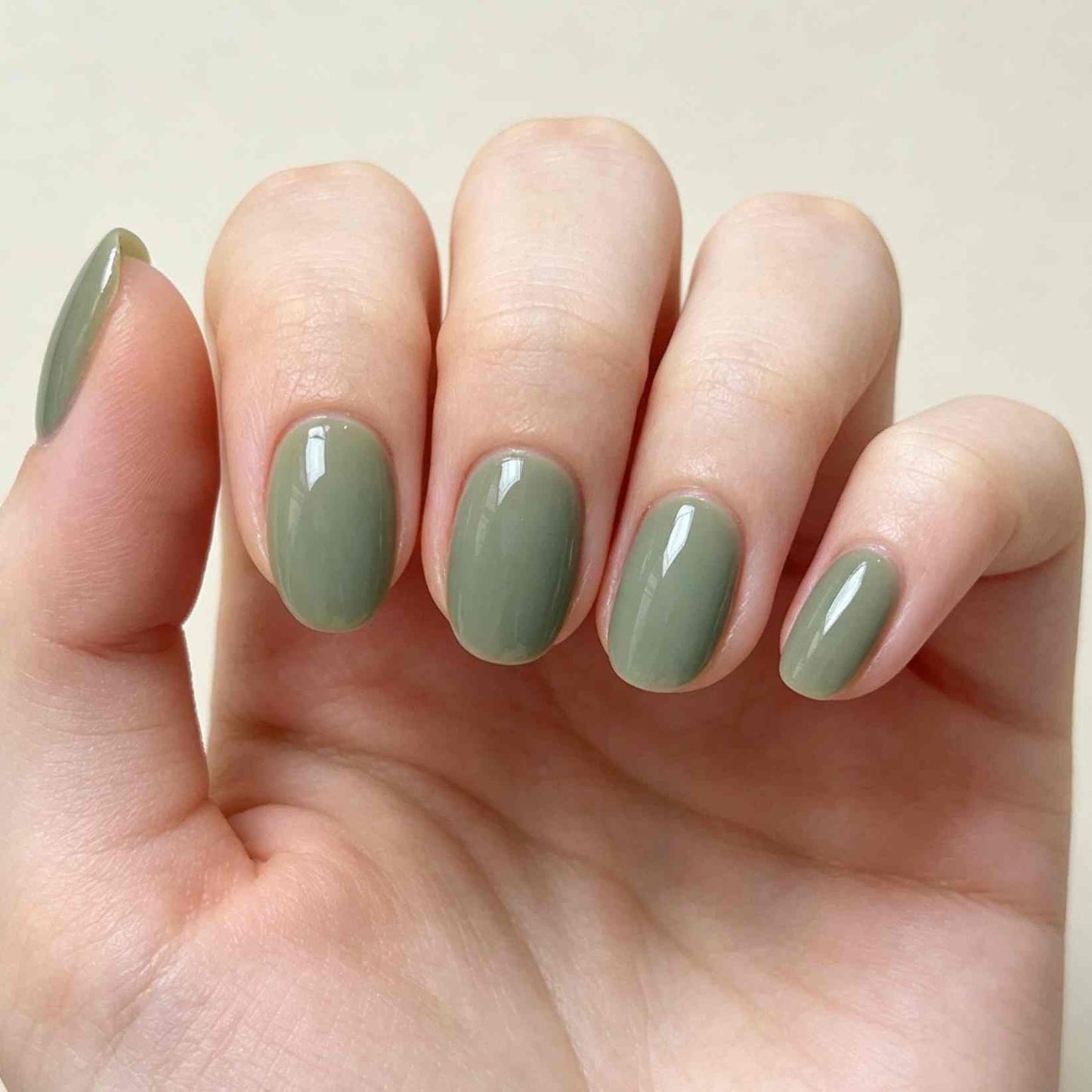 Pastel Halo 24p