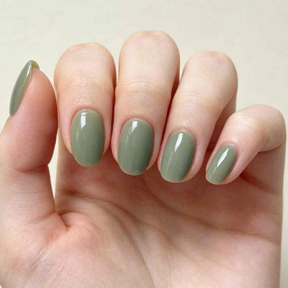 Pastel Halo 24p