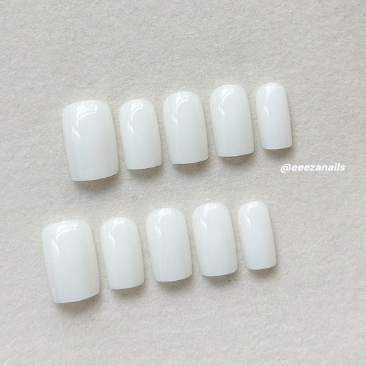 Vivid Tints 24p
