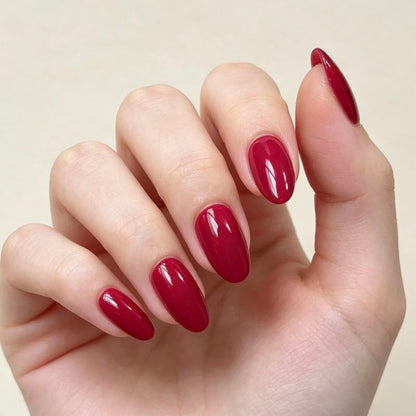 Bold Hues 24p