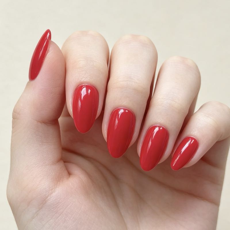 Bold Hues 24p