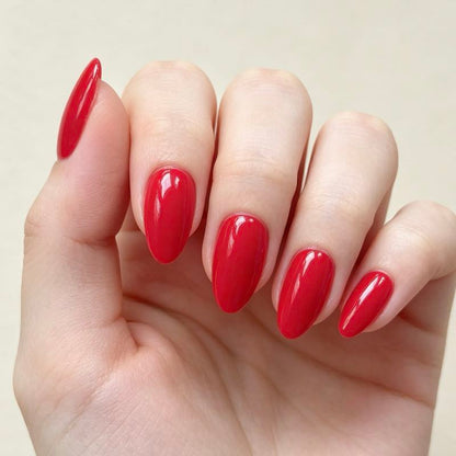 Bold Hues 24p